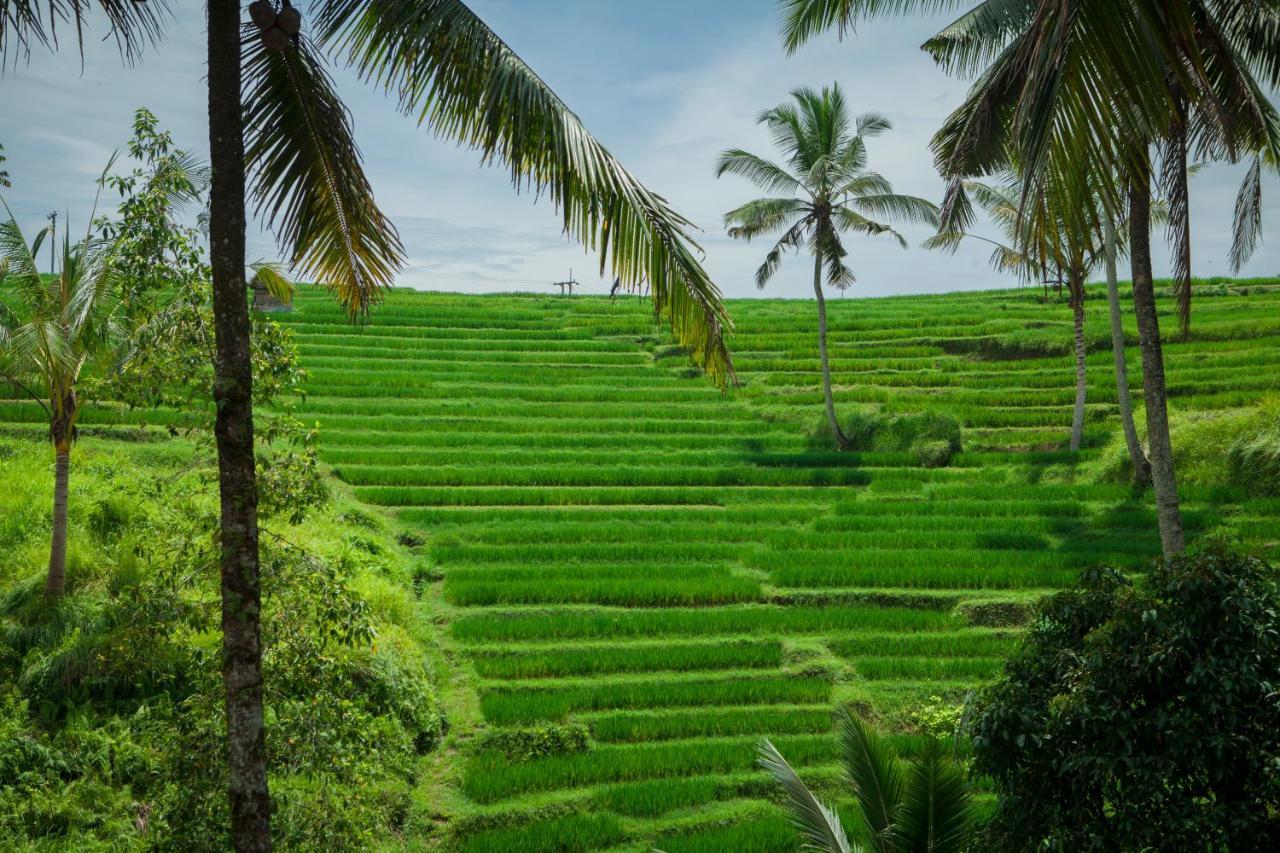 Be Bali Stay Убуд Екстериор снимка