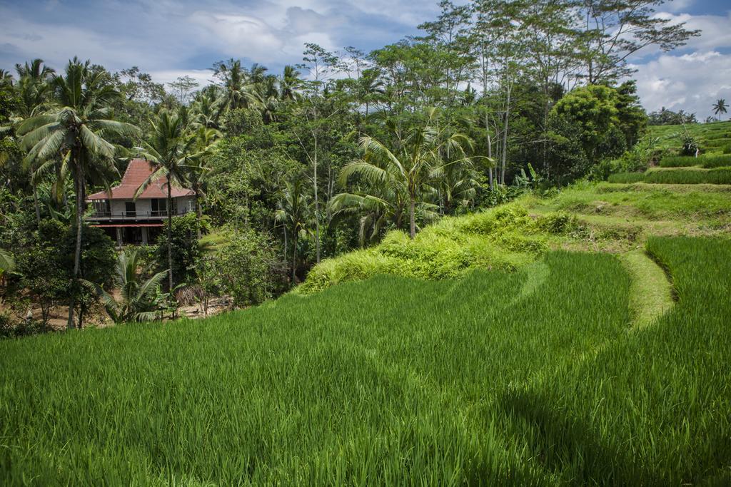 Be Bali Stay Убуд Екстериор снимка